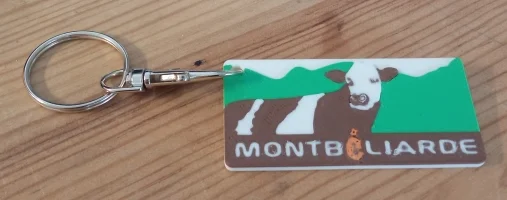 Porte-clés Montbéliarde imprimé en 3D